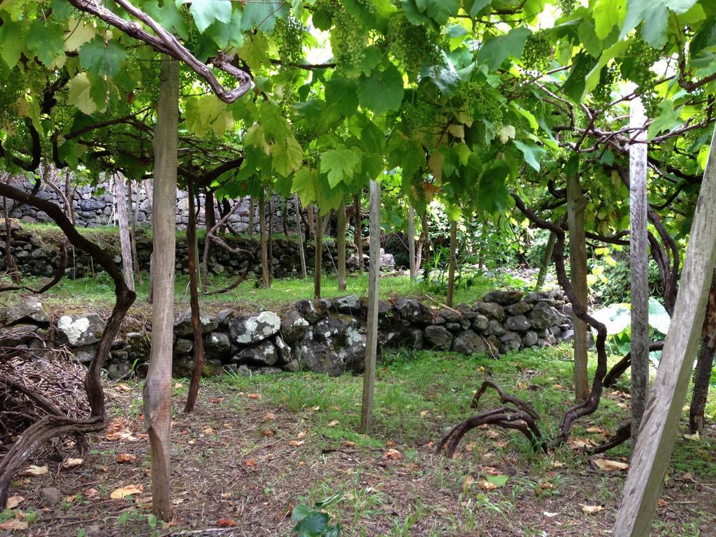 Holidays Madeira São Vicente 外观 照片